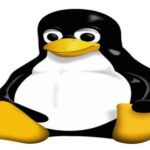best linux shell scripting course